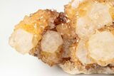 Sunshine Cactus Quartz Crystal Cluster - South Africa #191800-2